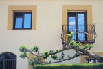 casa a bellvei